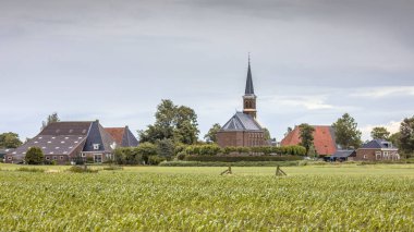 Warstiens Hollandalı Hamlet