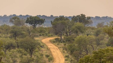 Savanna ile Dirt Road S4