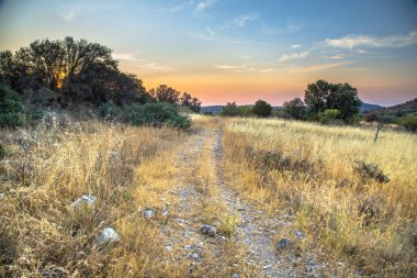 Cevennes National Par'da tepede yaz manzarası
