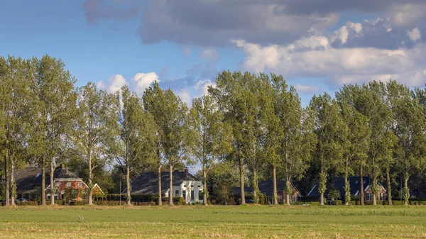 Traditionell landsbygds scen i Nederländerna — Stockfoto