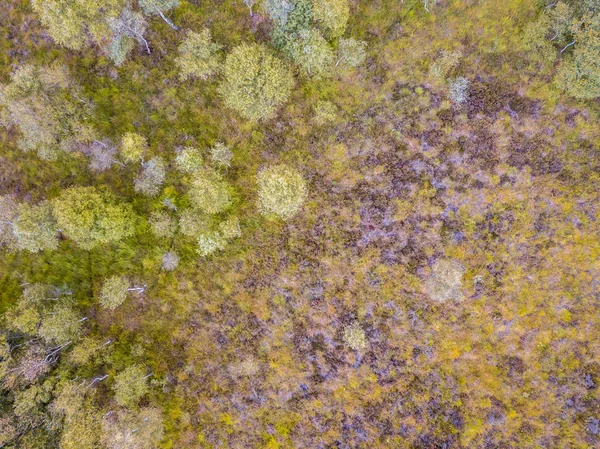 Vzdušný pohled na heathland — Stock fotografie