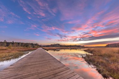 Doğal fundalık fen kırpma Boardwalk