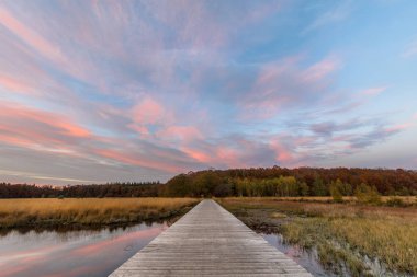 Doğal fundalık fen kırpma Boardwalk