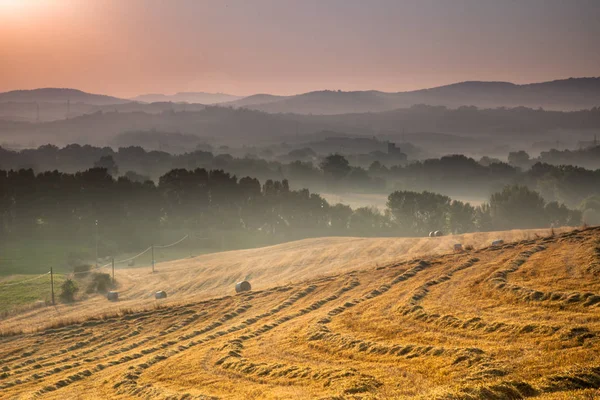 Campo da Toscana em Dawn, Itália — Fotografia de Stock