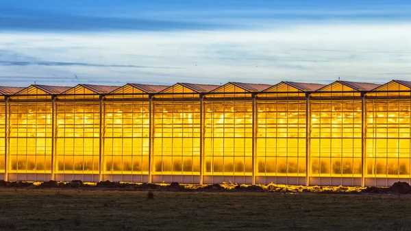 Culturas industriais com efeito de estufa iluminadas — Fotografia de Stock