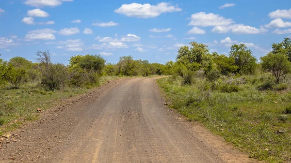 Gravel road through Kruger park — Stock Photo, Image