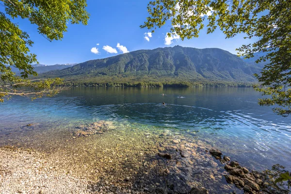 El agua turquesa del lago Bohinj —  Fotos de Stock