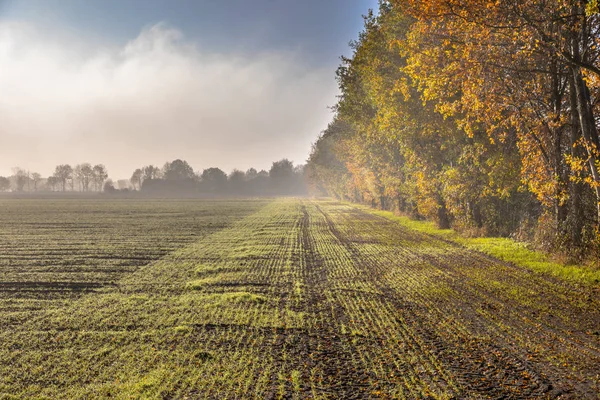 Hazy agricultural november landscape — Stock Photo, Image