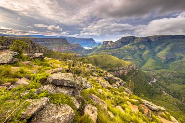 Doğal bitki örtüsü Blyde nehir kanyonu