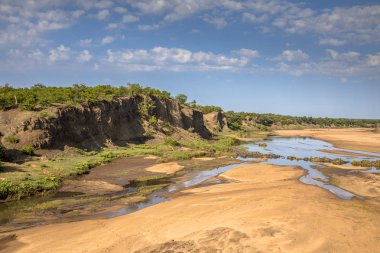Letaba nehir gözcü