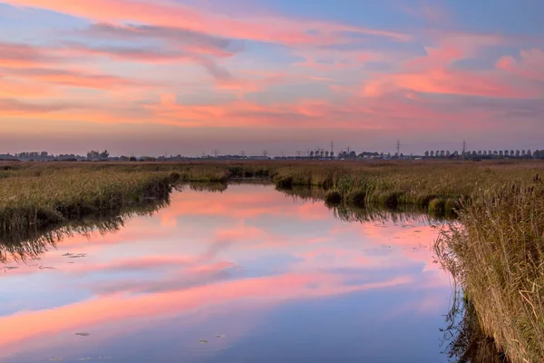 River through marshland — Stock Photo, Image