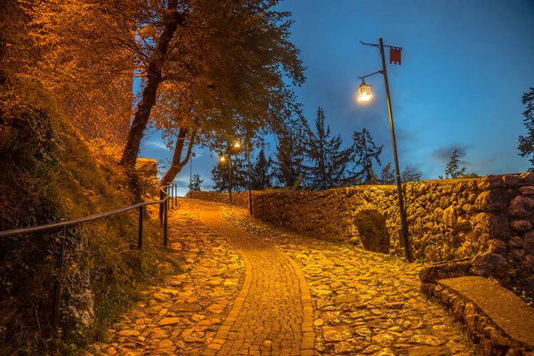 Estrada de paralelepípedos iluminada para o castelo — Fotografia de Stock