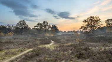 Sonbahar renklerinde Heathland 'de yürüyüş yapmak
