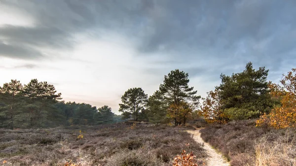 Túrázás út keresztül Heathland őszi színekben — Stock Fotó