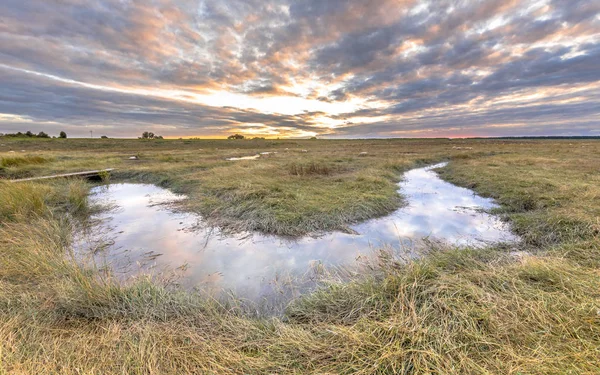 Kanał w TIDAL marshland rezerwat przyrody Saeftinghe — Zdjęcie stockowe