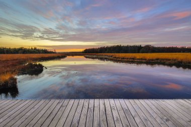 Doğal fundalık fen Boardwalk