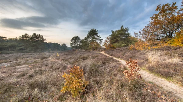 Vandringsled genom hedmark i höstfärger — Stockfoto