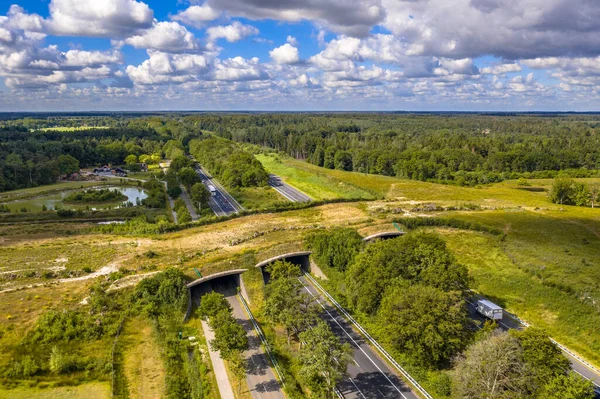 Vista Aérea Travessia Vida Selvagem Ecoduct Dwingelderveld National Park Beilen — Fotografia de Stock