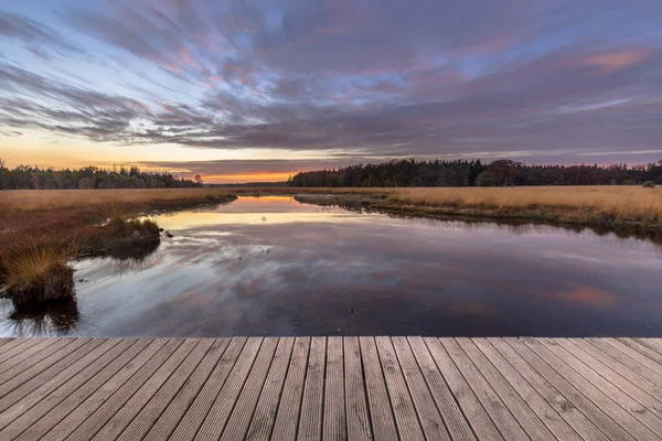 Boardwalk Heathland Fen Nature Reserve Landscape Province Drenthe Netherlands — Stock Photo, Image