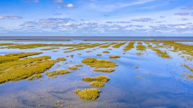 Ulusal park ve Groningen ili Waddensea 'deki Unesco Dünya mirası bölgesindeki gelgit sularının yükseldiği yerde gelgit manzarası. Hollanda