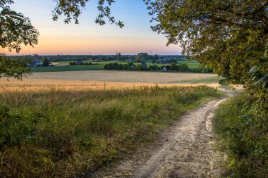Bergherbos Doğa Koruma Alanı, Montferland, Gelderland, Hollanda