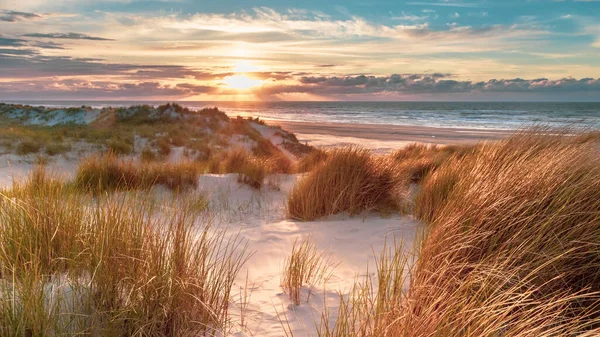 Sunset View from dune top over North Sea from the island of Ameland, Friesland, Netherlands