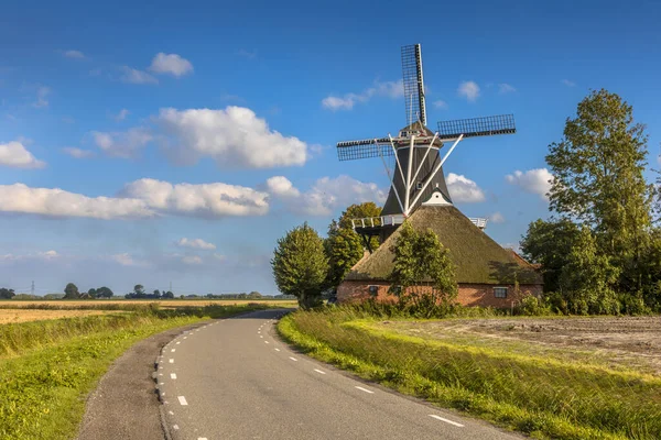 Typisch Hollands Landschap Met Landweggetjes Langs Boerderij Oude Houten Molen — Stockfoto