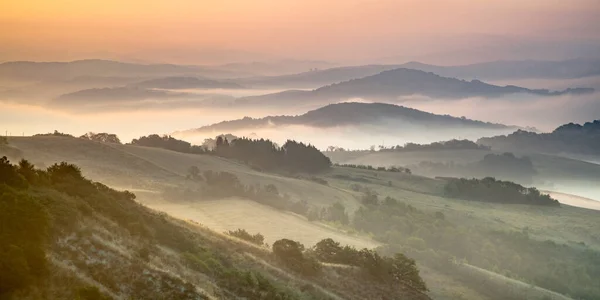 Rolling Hill Paesaggio Toscana Vicino Siena Una Mattina Inizio Agosto — Foto Stock