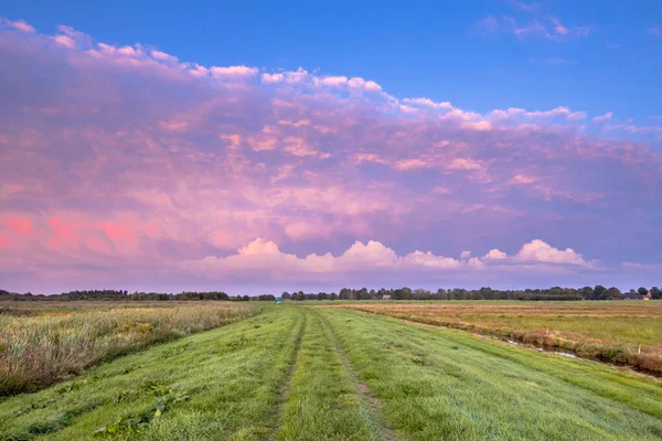 Coucher Soleil Rose Sur Réserve Naturelle Néerlandaise Onlanden Drenthe Pays — Photo