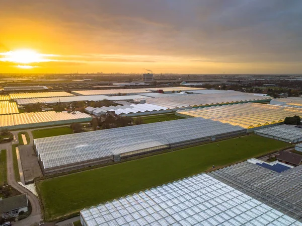 Aerial View Westland Glass City Greenhouse Horticulture Area Netherlands One — Stock Photo, Image