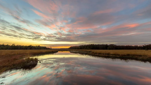 Fen Hedmark Naturreservat Landskap Solnedgången Med Rosa Moln Provinsen Drenthe — Stockfoto