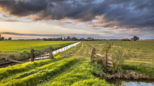 オランダ 北オランダのSchermerhornの低地牧草地農地のゲートの上の夕日 — ストック写真