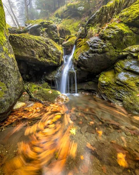 Маленький Водоспад Гірській Річці Розмитим Осіннім Листям Басейні Листяних Лісах — стокове фото