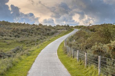 Hollanda 'nın Zeeland ilindeki kum tepelerinden geçen yol.
