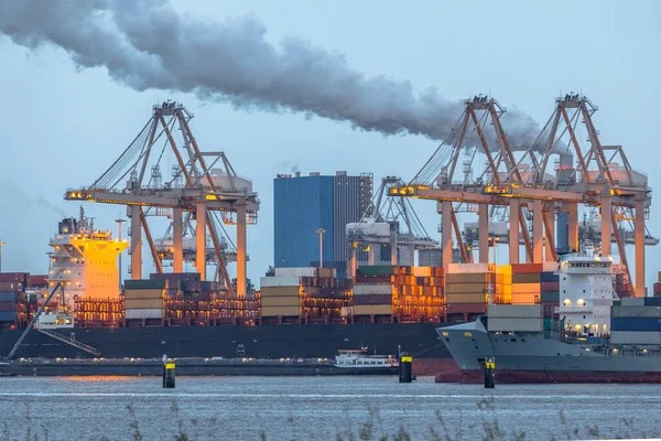 Kontejnerové Lodě Nakládající Terminálu Europoort Tweede Maasvlakte Harbor Přístavu Rotterdam — Stock fotografie