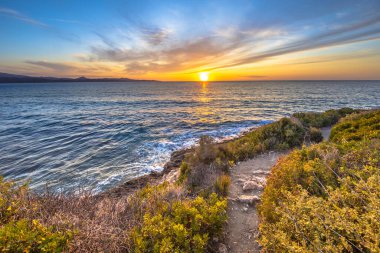 Fransa 'nın Korsika, Korsika, Cap Corse' un kayalık kıyı şeridinde sahil bitkilerinde yürüyüş izleri var.