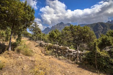 Fransa 'nın Korsika adasında Haute Corse' daki Cinto Dağı manzaralı Asco Nehri geçidinde yürüyüş yolu