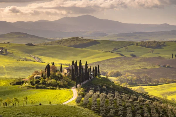 Toskanische Landschaft Der Nähe Von San Quirico Orcia Bei Nebligem — Stockfoto