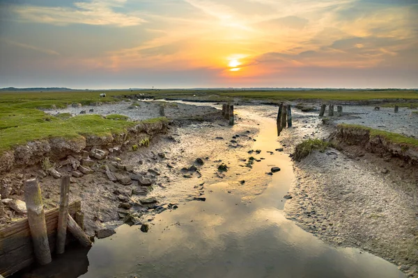 荷兰弗里斯兰亚姆兰沃登岛盐沼带自然弯曲排水系统的潮汐航道 — 图库照片