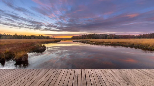 Boardwalk Heathland Fen Nature Reserve Landscape Province Drenthe Netherlands — Stock Photo, Image