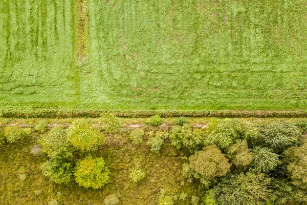 自然保護区と農地との境界線の空中ビュー — ストック写真