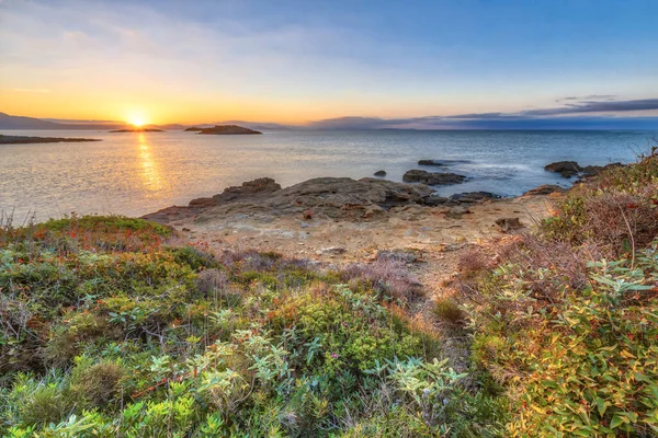 岩だらけの海岸と海岸の植生と日の出にスカラ近くのペロポネソス海岸 — ストック写真