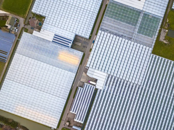 トップダウンオランダのウエストランドまたはガラス都市の温室園芸エリアの空中ビュー 世界最大の食料生産地域の一つは オランダ経済の巨大なエンジン — ストック写真