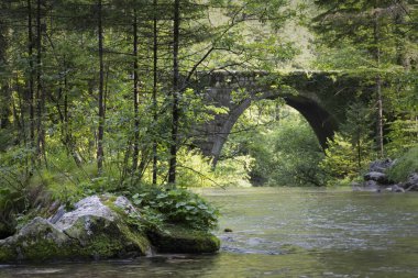 Yeşil doğa ile Kamniska Bistrica taş Köprüsü
