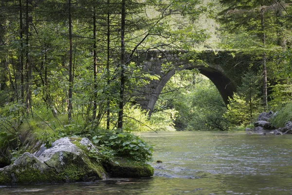 Stenen Brug Bij Kamniska Bistrica Met Groene Natuur — Stockfoto