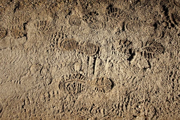 Closeup of the muddy pathway with shoe prints.