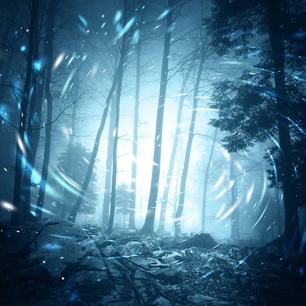 雾蒙蒙的深蓝色雾蒙蒙的森林树木景观场景与神秘的旋转效果萤火虫灯 — 图库照片