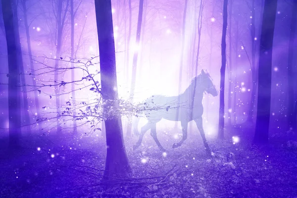 神奇的紫色雾蒙蒙的光在森林里与马 抽象独角兽在仙林地上 使用的双曝光技术 — 图库照片