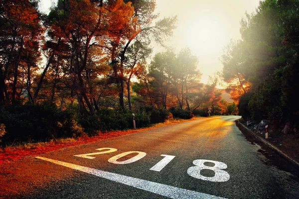 Número Año Nuevo 2018 Pintado Colorido Camino Asfalto Puesta Del — Foto de Stock