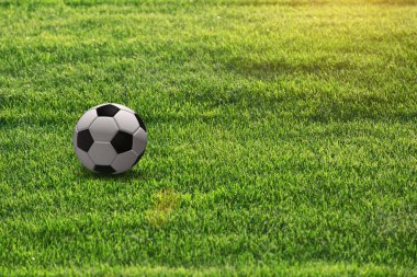 Güneşli futbol çim sahası üzerinde kavramsal futbol topu. 